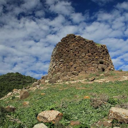 كاستيلساردو Janas Country House المظهر الخارجي الصورة