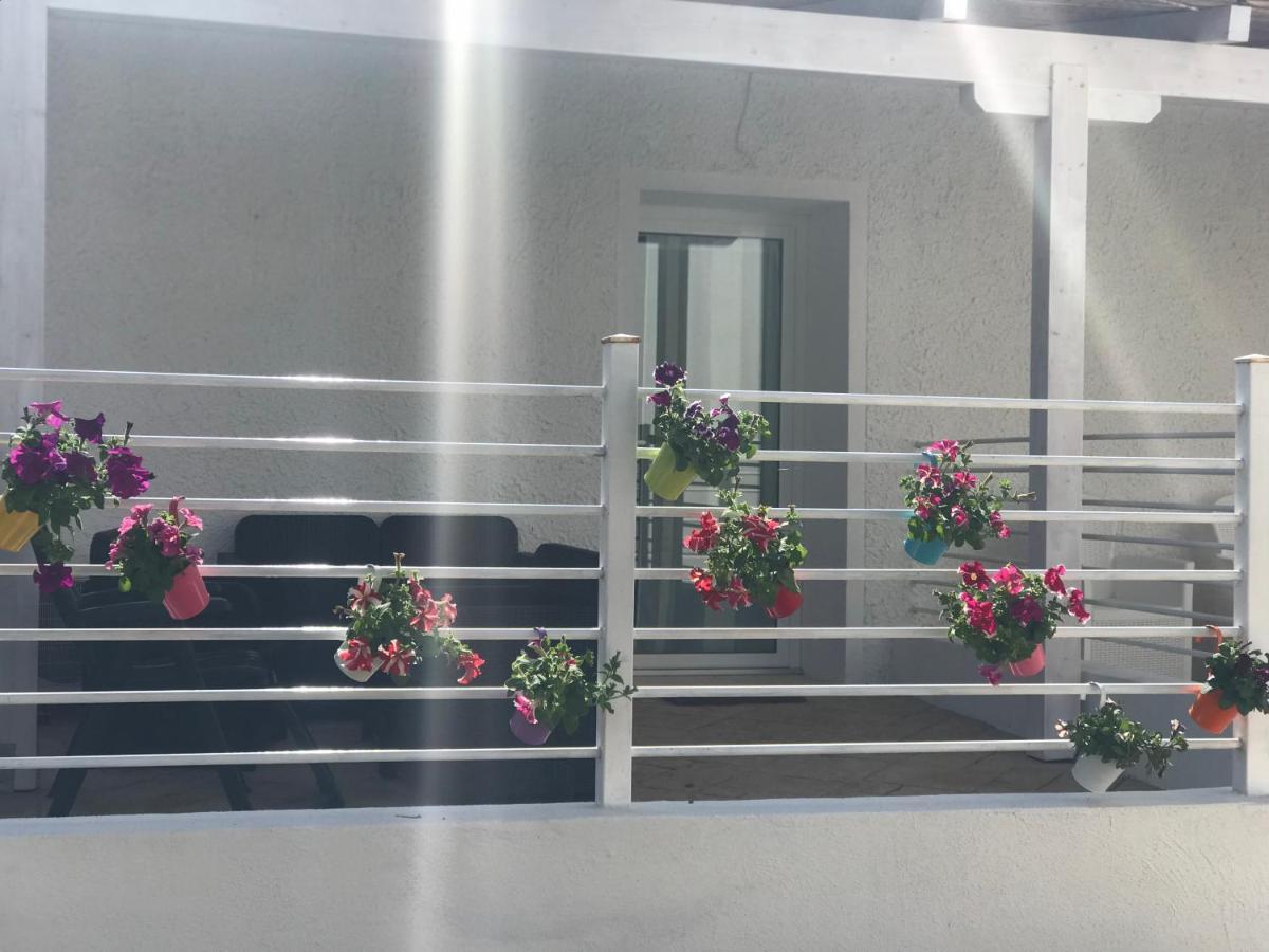 كاستيلساردو Janas Country House المظهر الخارجي الصورة